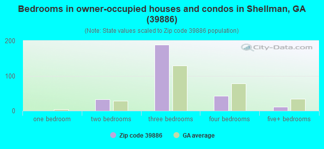 Bedrooms in owner-occupied houses and condos in Shellman, GA (39886) 