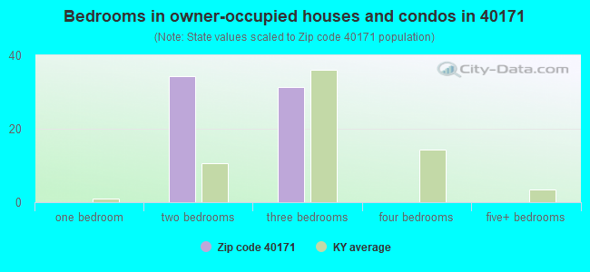 Bedrooms in owner-occupied houses and condos in 40171 