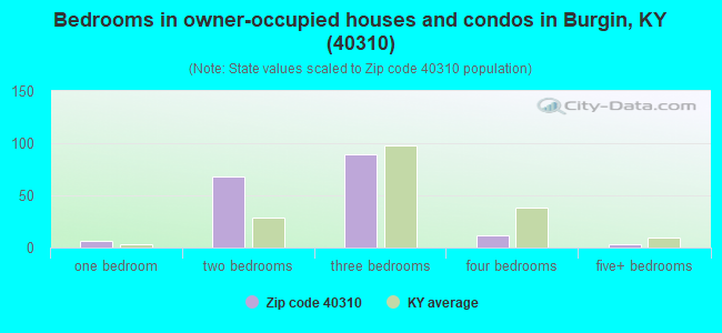 Bedrooms in owner-occupied houses and condos in Burgin, KY (40310) 