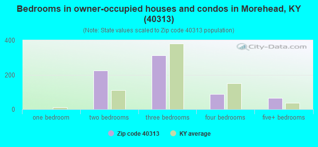 Bedrooms in owner-occupied houses and condos in Morehead, KY (40313) 