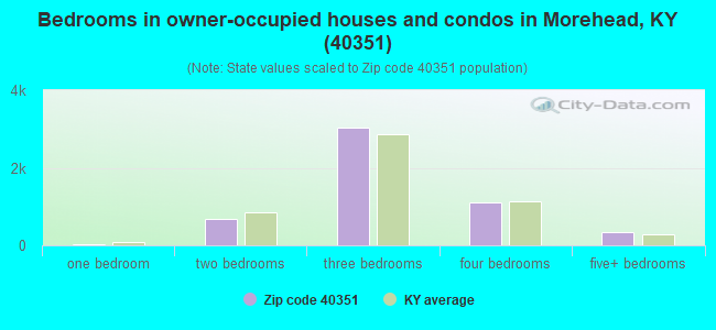 Bedrooms in owner-occupied houses and condos in Morehead, KY (40351) 