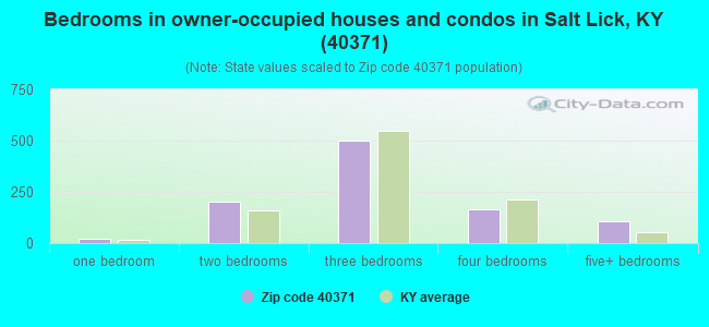 Bedrooms in owner-occupied houses and condos in Salt Lick, KY (40371) 