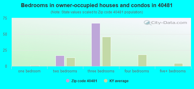 Bedrooms in owner-occupied houses and condos in 40481 