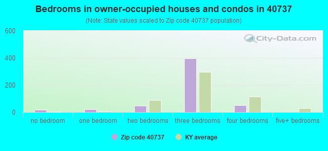 Bedrooms in owner-occupied houses and condos in 40737 