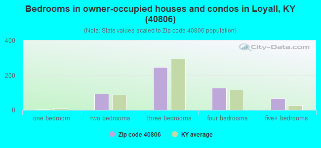 Bedrooms in owner-occupied houses and condos in Loyall, KY (40806) 