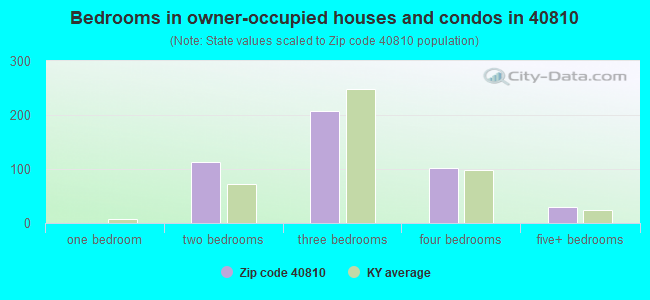 Bedrooms in owner-occupied houses and condos in 40810 