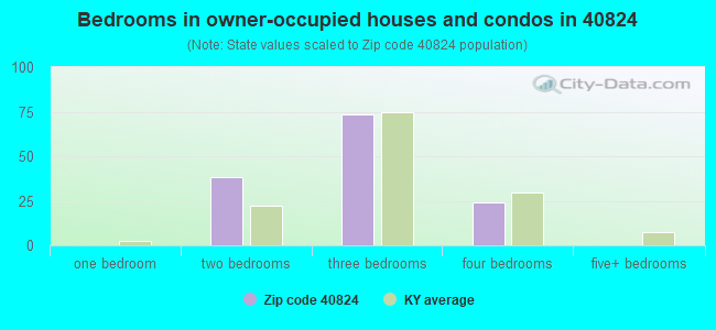 Bedrooms in owner-occupied houses and condos in 40824 