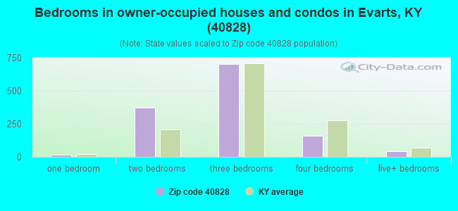 Bedrooms in owner-occupied houses and condos in Evarts, KY (40828) 