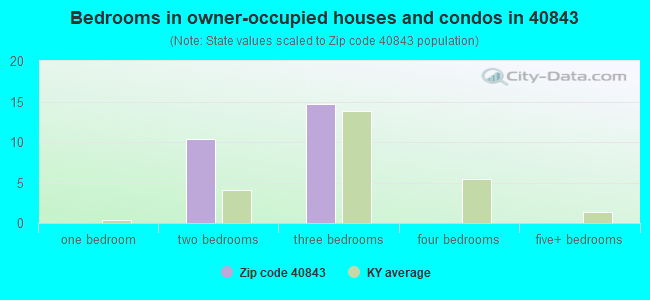 Bedrooms in owner-occupied houses and condos in 40843 