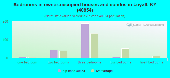 Bedrooms in owner-occupied houses and condos in Loyall, KY (40854) 