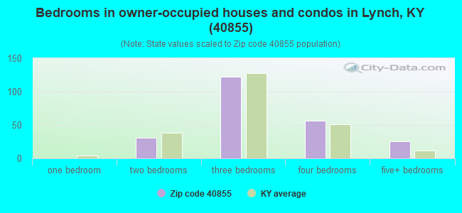 Bedrooms in owner-occupied houses and condos in Lynch, KY (40855) 