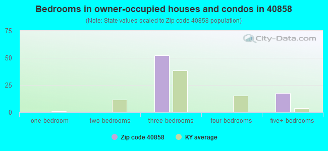 Bedrooms in owner-occupied houses and condos in 40858 