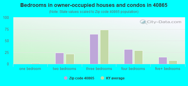 Bedrooms in owner-occupied houses and condos in 40865 