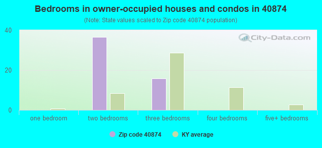 Bedrooms in owner-occupied houses and condos in 40874 