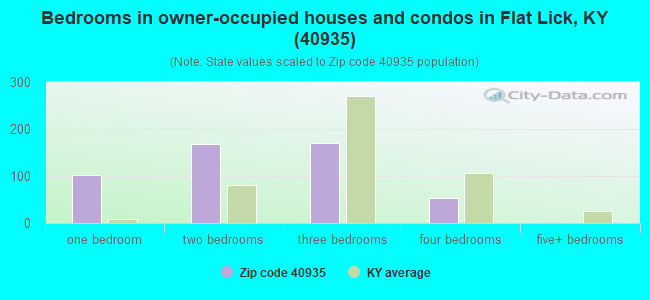 Bedrooms in owner-occupied houses and condos in Flat Lick, KY (40935) 