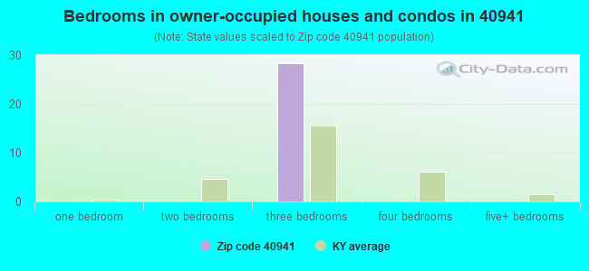 Bedrooms in owner-occupied houses and condos in 40941 