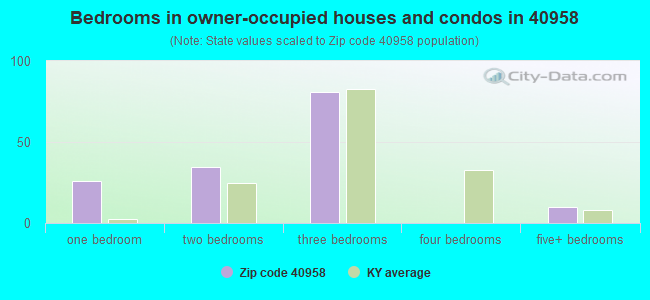 Bedrooms in owner-occupied houses and condos in 40958 
