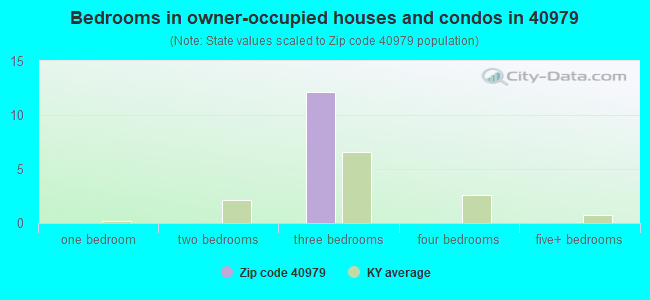 Bedrooms in owner-occupied houses and condos in 40979 