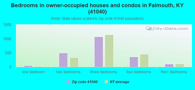 Bedrooms in owner-occupied houses and condos in Falmouth, KY (41040) 