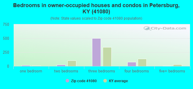 Bedrooms in owner-occupied houses and condos in Petersburg, KY (41080) 