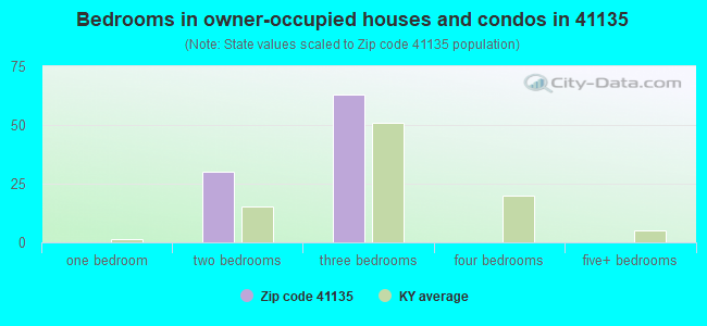 Bedrooms in owner-occupied houses and condos in 41135 