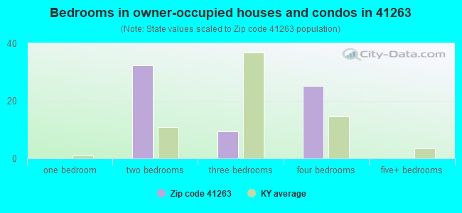 Bedrooms in owner-occupied houses and condos in 41263 