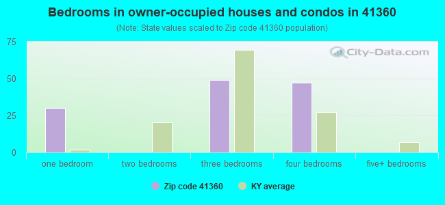 Bedrooms in owner-occupied houses and condos in 41360 