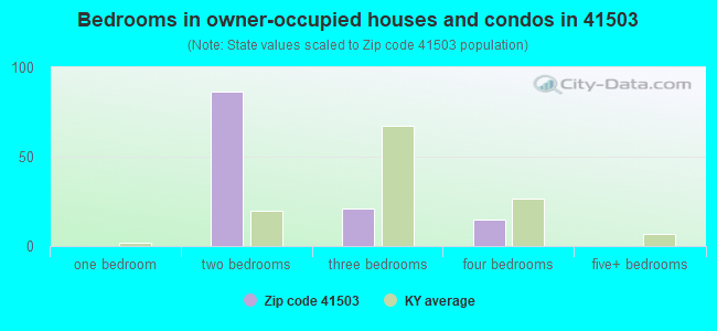 Bedrooms in owner-occupied houses and condos in 41503 