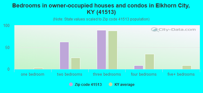 Bedrooms in owner-occupied houses and condos in Elkhorn City, KY (41513) 