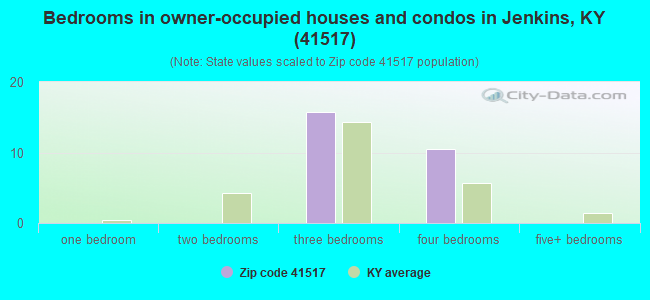 Bedrooms in owner-occupied houses and condos in Jenkins, KY (41517) 