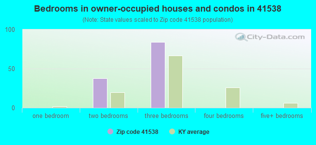 Bedrooms in owner-occupied houses and condos in 41538 