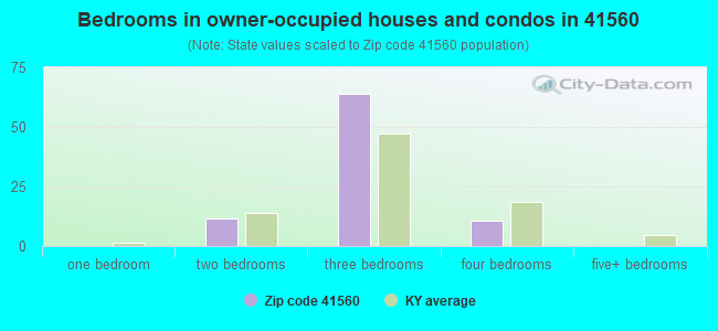 Bedrooms in owner-occupied houses and condos in 41560 