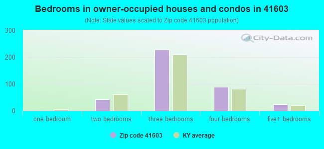 Bedrooms in owner-occupied houses and condos in 41603 