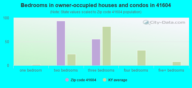 Bedrooms in owner-occupied houses and condos in 41604 