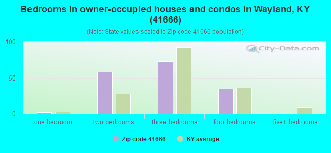 Bedrooms in owner-occupied houses and condos in Wayland, KY (41666) 