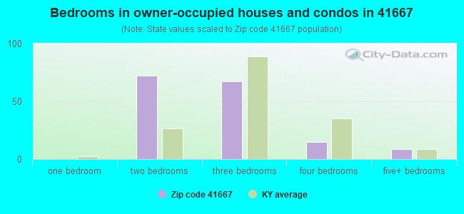 Bedrooms in owner-occupied houses and condos in 41667 
