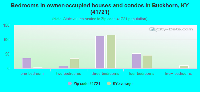 Bedrooms in owner-occupied houses and condos in Buckhorn, KY (41721) 