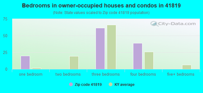Bedrooms in owner-occupied houses and condos in 41819 