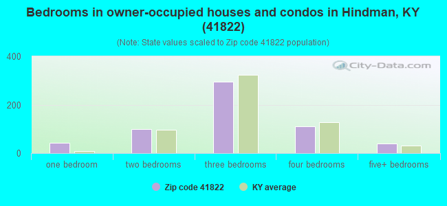 Bedrooms in owner-occupied houses and condos in Hindman, KY (41822) 