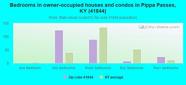 Bedrooms in owner-occupied houses and condos in Pippa Passes, KY (41844) 