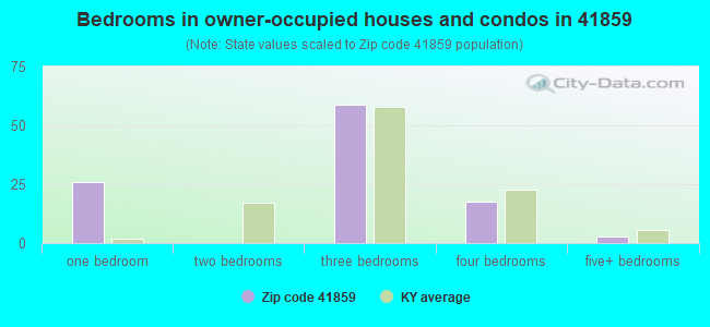 Bedrooms in owner-occupied houses and condos in 41859 