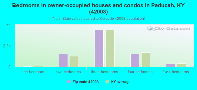 Bedrooms in owner-occupied houses and condos in Paducah, KY (42003) 