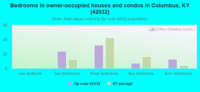 Bedrooms in owner-occupied houses and condos in Columbus, KY (42032) 