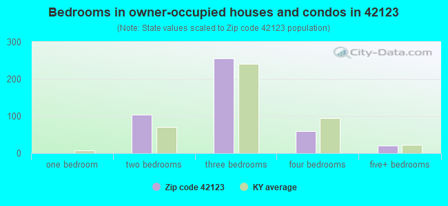 Bedrooms in owner-occupied houses and condos in 42123 