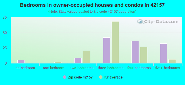 Bedrooms in owner-occupied houses and condos in 42157 