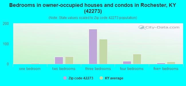 Bedrooms in owner-occupied houses and condos in Rochester, KY (42273) 