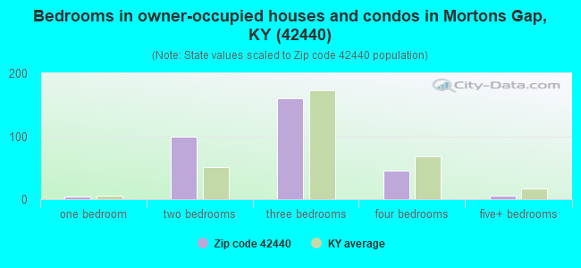 Bedrooms in owner-occupied houses and condos in Mortons Gap, KY (42440) 