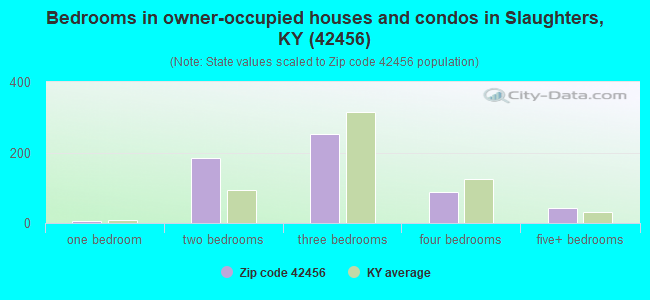 Bedrooms in owner-occupied houses and condos in Slaughters, KY (42456) 