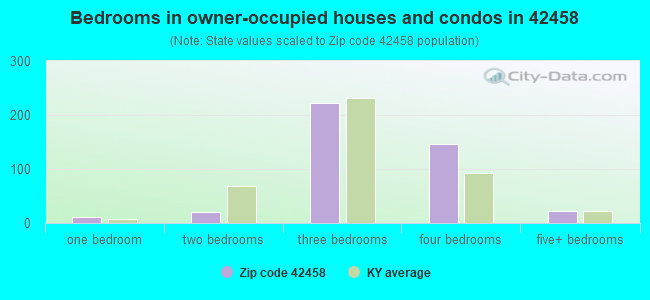 Bedrooms in owner-occupied houses and condos in 42458 