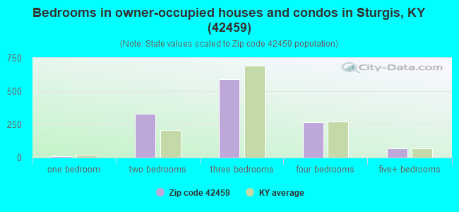 Bedrooms in owner-occupied houses and condos in Sturgis, KY (42459) 